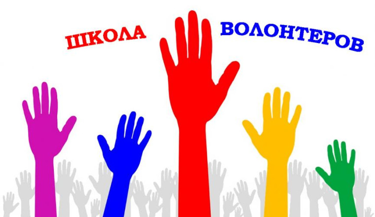Школа волонтеров.